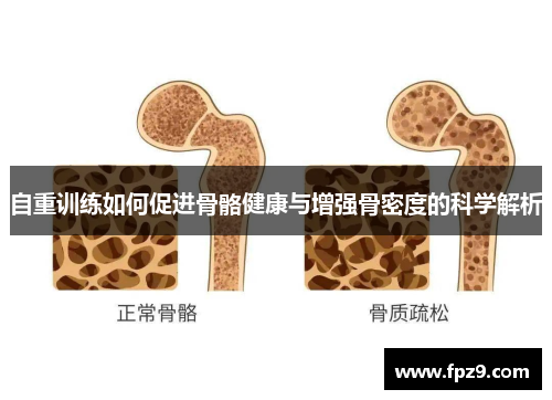 自重训练如何促进骨骼健康与增强骨密度的科学解析